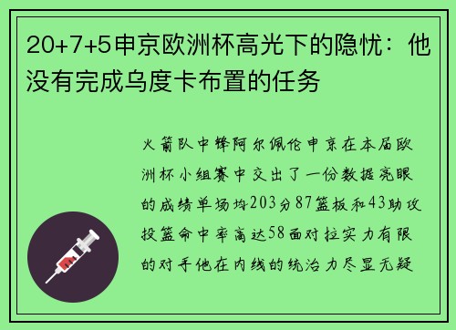 20+7+5申京欧洲杯高光下的隐忧:他没有完成乌度卡布置的任务
